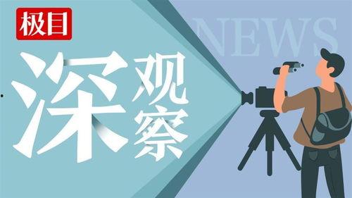 极目新闻拍客如何爆料,如何高效提供新闻线索 第1张 极目新闻拍客如何爆料,如何高效提供新闻线索 第1张