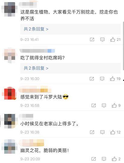 热点视频爆料点击进入,点击进入，探寻事件全貌
