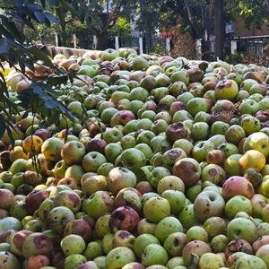 礼泉县爆料新闻最新情况,突发事件引发社会关注 第1张 礼泉县爆料新闻最新情况,突发事件引发社会关注 第1张